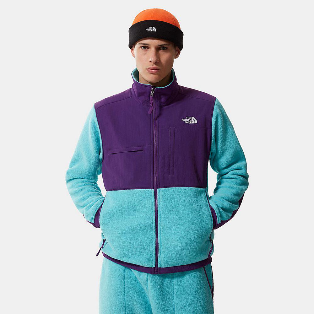 The North Face Denali 2 Ανδρικα Μπουφάν Fleece - Μπλε / Μωβ (LJCV39065)